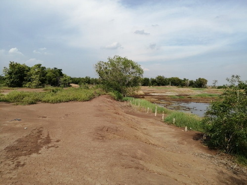 6409-097 ขาย ที่ดิน อยุธยา บางปะอิน ติดถนนนตลาดเกรียบ-วัดยม ริมคลองชลประทาน