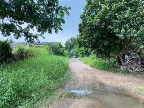 6410-071 ขาย ที่ดิน สุขสวัสดิ์ พระสมุทรเจดีย์ สมุทรปราการ ถมแล้วบางส่วน 1ผังสีม่วง ห่างไกลชุมชน