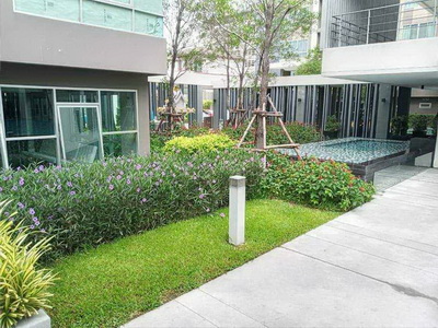 6502-530 ให้เช่า คอนโด บางนา แบริ่ง ลาซาล BTSแบริ่ง D Condo Sukhumvit 109 1นอน