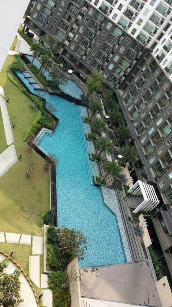 6504-490 ให้เช่า คอนโด บางนา แบริ่ง ลาซาล BTSบางนา The Parkland Srinakarin Lakeside 1นอน วิวสระ