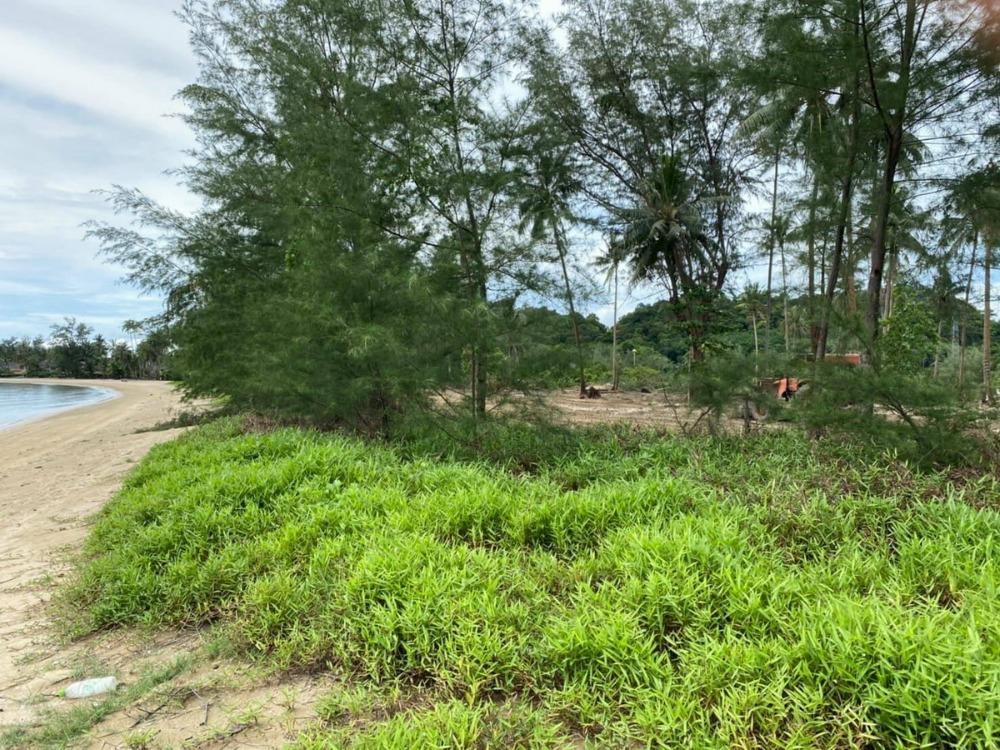 6504-862 ขาย ที่ดิน เกาะช้าง ติดทะเล หาดสวย เดิมเป็นสวนมะพร้าวทั้งแปลง ประมาณ33ไร่