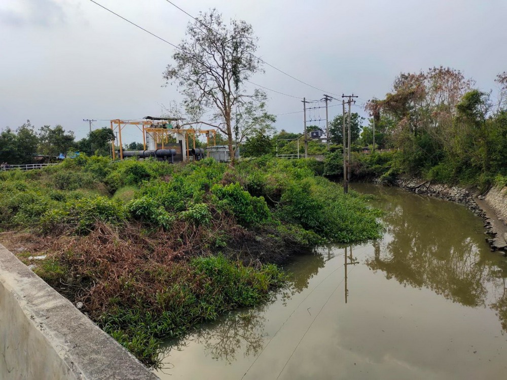 6505-384 ขาย ที่ดิน ปากเกร็ด นนทบุรี ติดริมน้ำ ติดคลองแม่น้ำเจ้าพระยา ที่สวย เหมาะปลูกบ้าน