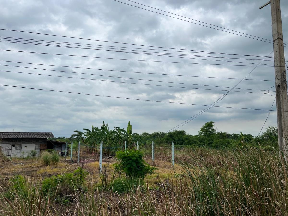 6712-100  ขาย ที่ดิน ลำลูกกา ปทุมธานี ติดถนนใหญ่ เหมาะลงทุนพัฒนาจัดสรรพื้นที่ 