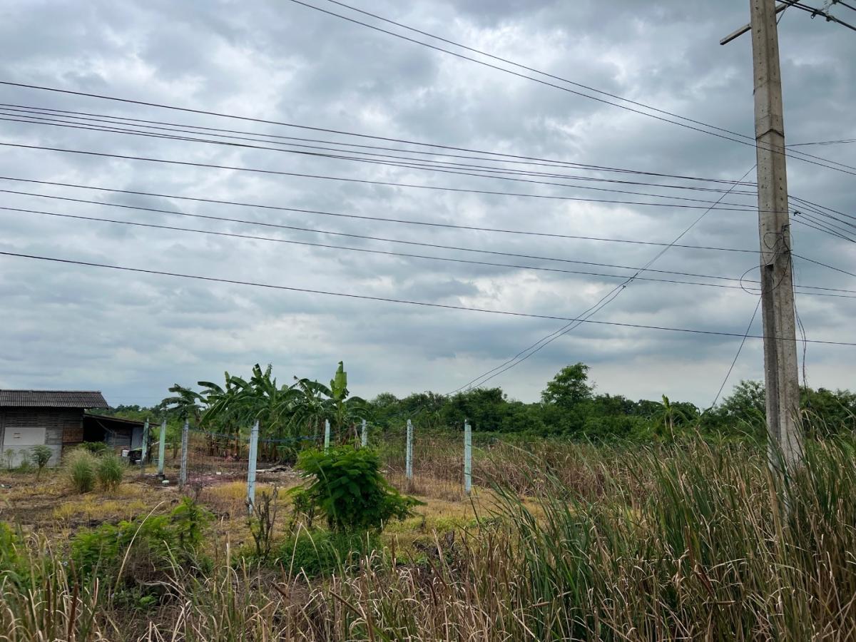 6712-100  ขาย ที่ดิน ลำลูกกา ปทุมธานี ติดถนนใหญ่ เหมาะลงทุนพัฒนาจัดสรรพื้นที่ 