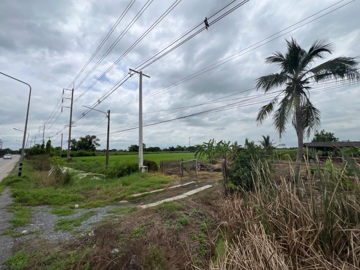 6712-100  ขาย ที่ดิน ลำลูกกา ปทุมธานี ติดถนนใหญ่ เหมาะลงทุนพัฒนาจัดสรรพื้นที่ 