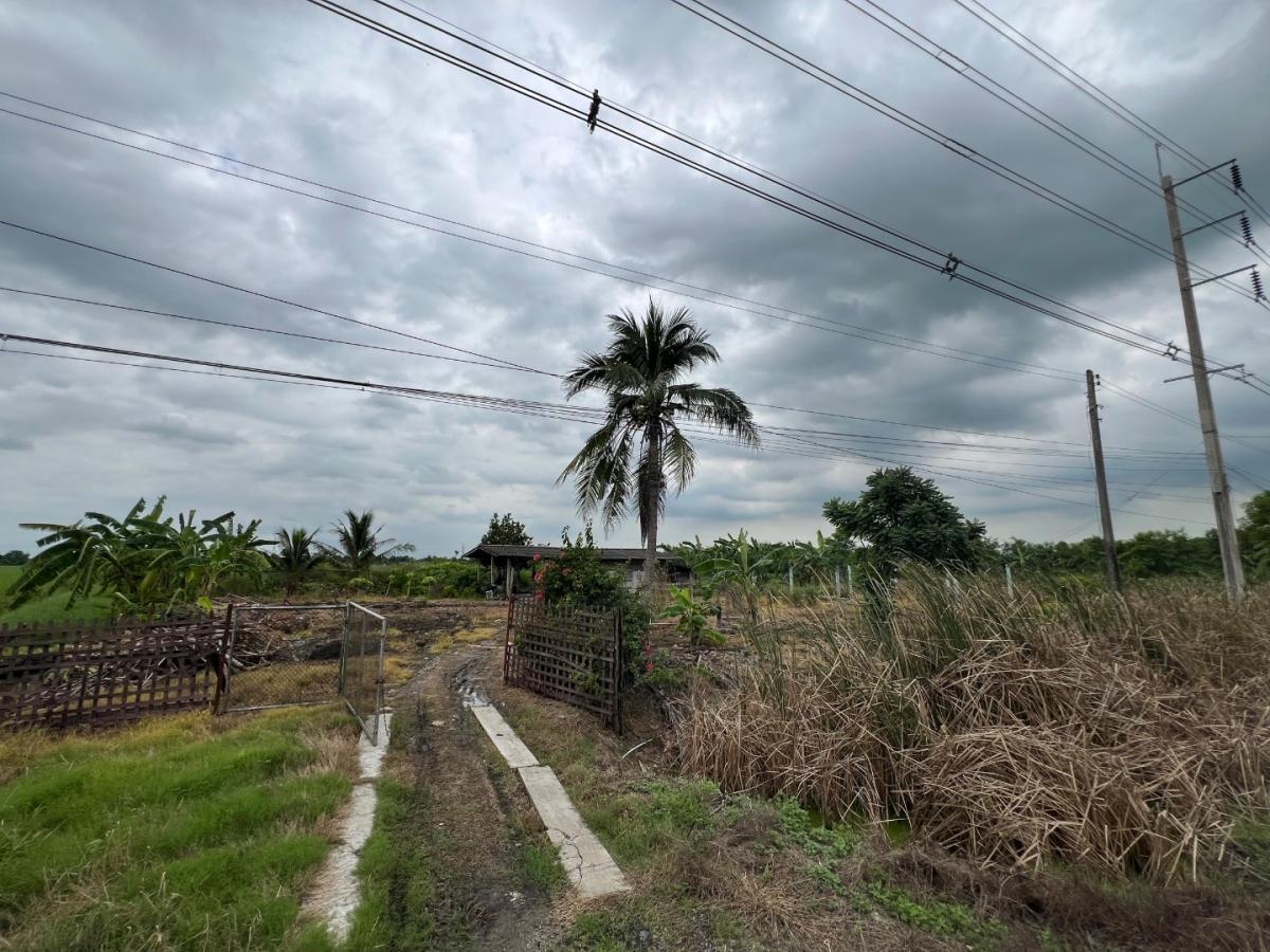 6712-100  ขาย ที่ดิน ลำลูกกา ปทุมธานี ติดถนนใหญ่ เหมาะลงทุนพัฒนาจัดสรรพื้นที่ 