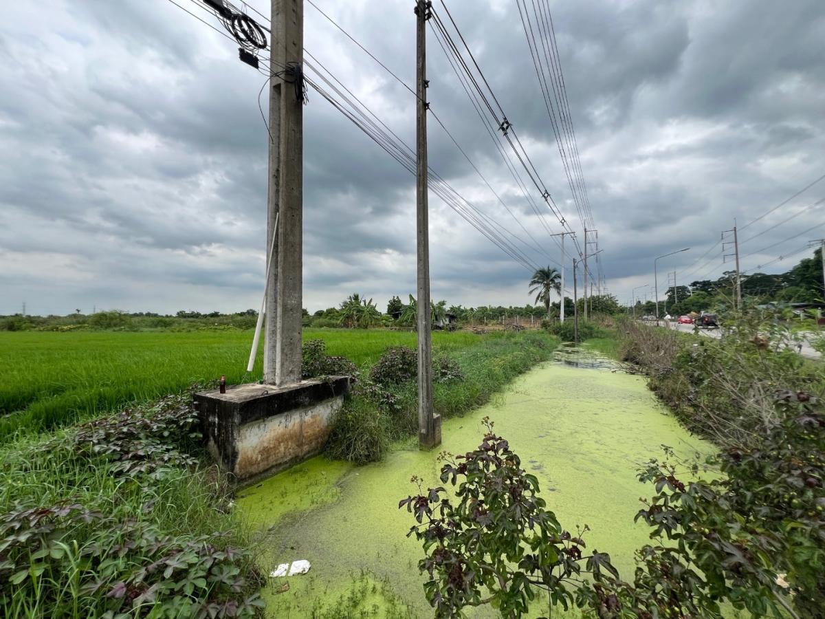 6712-100  ขาย ที่ดิน ลำลูกกา ปทุมธานี ติดถนนใหญ่ เหมาะลงทุนพัฒนาจัดสรรพื้นที่ 