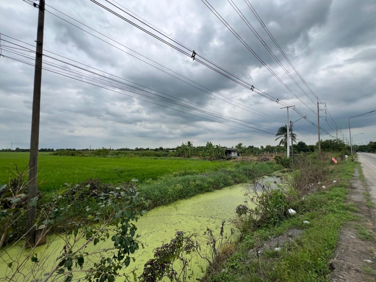 6712-100  ขาย ที่ดิน ลำลูกกา ปทุมธานี ติดถนนใหญ่ เหมาะลงทุนพัฒนาจัดสรรพื้นที่ 